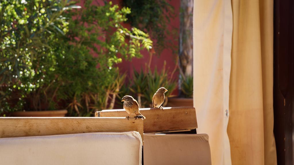 Riad Honey Marrakesh Eksteriør bilde